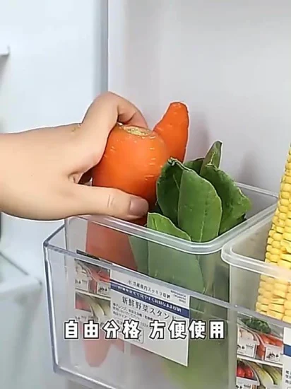 Nouveau Accessoires de cuisine réfrigérateur boîtes de stockage